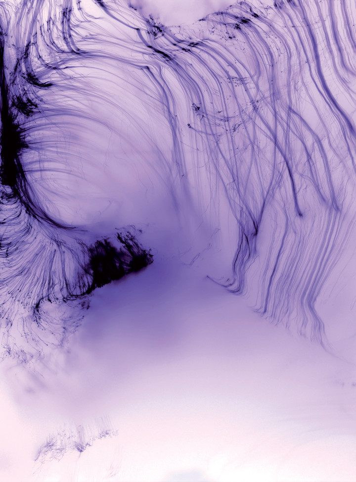 Wolfgang Tillmans Flash Art wolfgang-tillmans-flash-art