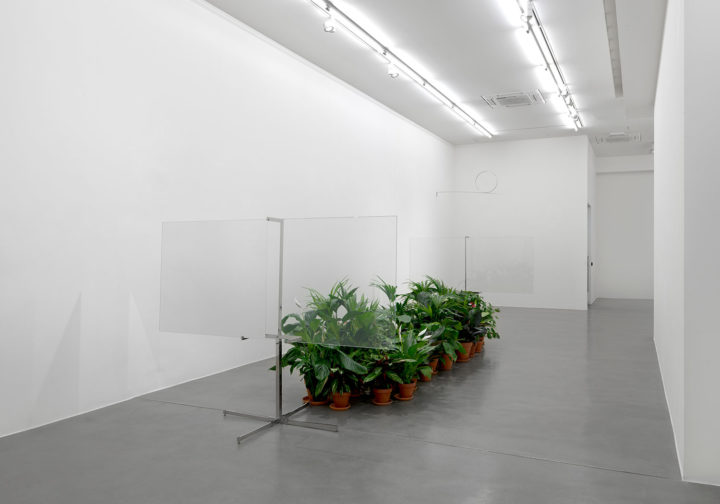 Luciano Fabro installation view
