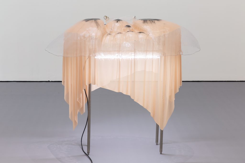 Pakui Hardware "Virtual Care" BALTIC / Gateshead Flash Art