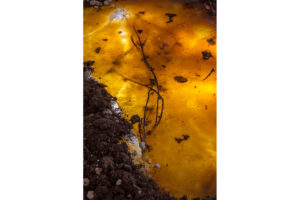 Bri Williams: Defamiliarizing Myths | | Flash Art